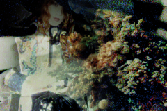 LAREINE-Scans-Discography-1997.09.07-BLUE-ROMANCE～優しい花達の狂奏～-Album-LCD-001R-001RN-02-Booklet-03