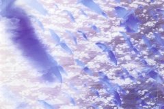 LAREINE-Scans-Discography-2000.02.16-フィエルテの海と共に消ゆ～THE-LAST-OF-ROMANCE～-Album-SRCL-4751-04-Reverse-of-Back