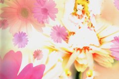 LAREINE-Scans-Discography-2000.02.16-フィエルテの海と共に消ゆ～THE-LAST-OF-ROMANCE～-Album-SRCL-4751-06-Extra-Booklet-11