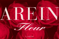 LAREINE-Scans-Discography-1998.03.22-憂いの花が綴る愛～Lintroduction-de-la-fleur～-Sampler-LCDS-002-03-Insert
