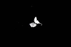 LAREINE-Scans-Discography-2005.11.30-道化師の舞曲-Single-ARLC-041-02-Booklet-03