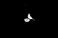 LAREINE-Scans-Discography-2005.11.30-道化師の舞曲-Single-ARLC-041-02-Booklet-03