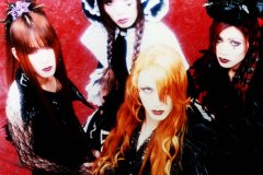 Photo Sets