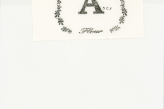 LAREINE-Scans-Photographs-199x.xx_.xx-Fleur-Photo-Set-A-06