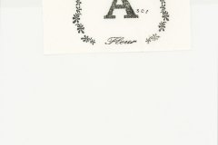 LAREINE-Scans-Photographs-199x.xx_.xx-Fleur-Photo-Set-A-06