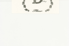 LAREINE-Scans-Photographs-199x.xx_.xx-Fleur-Photo-Set-D-06