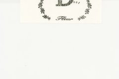 LAREINE-Scans-Photographs-199x.xx_.xx-Fleur-Photo-Set-D-06