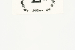 LAREINE-Scans-Photographs-199x.xx_.xx-Fleur-Photo-Set-E-06