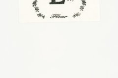 LAREINE-Scans-Photographs-199x.xx_.xx-Fleur-Photo-Set-E-06