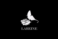 LAREINE-Scans-Discography-2005.07.26-Reincarnation-Remix-Album-ARLC-036-02-Booklet-03