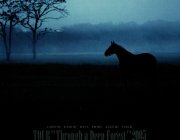 TOUR"Through a Deep Forest"2005 -Original Sound Track- - Mini-Album - ARLC-035