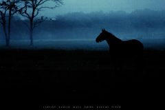 LAREINE-Scans-Discography-2005.07.26-TOURThrough-a-Deep-Forest2005-OST-Mini-Album-ARLC-035-01-Cover