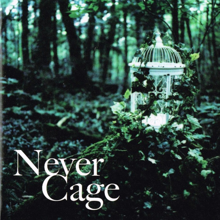 Never Cage - Album - LAREINE