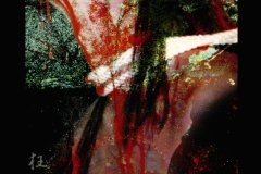 Madeth-grayll-Scans-Discography-1998.04.04-狂死楽園-Demo-Tape-SMMG-004-01-Cover