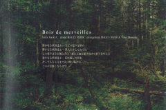 MALICE-MIZER-Scans-Discography-1998.03.18-merveilles-Jewel-Case-Album-02-Booklet-34