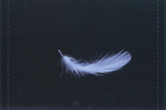 MALICE-MIZER-Scans-Discography-1998.03.18-merveilles-Jewel-Case-Album-04-Reverse-of-Back