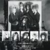 Flyer about "Shikyou TO Shinkirou1996"